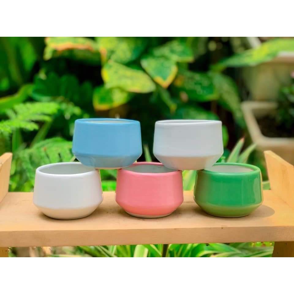 Chậu trồng cây bằng sứ trơn, nhiều màu trồng sen đá, tiểu cảnh, cẩm nhung trang trí