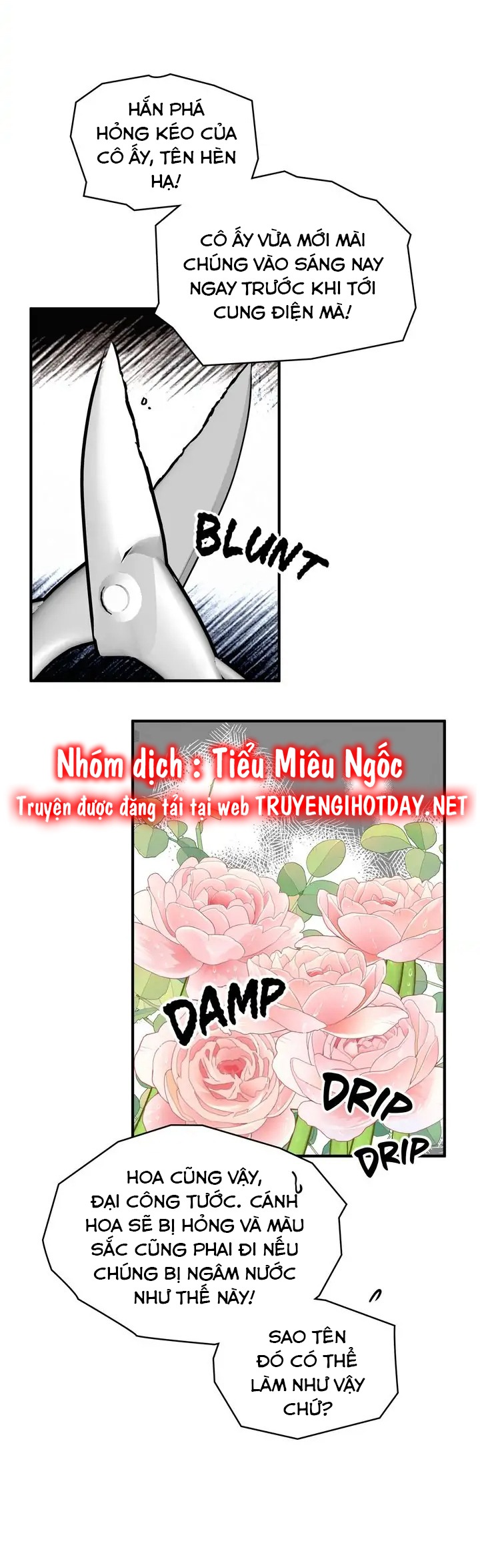 người thừa kế chapter 53 14