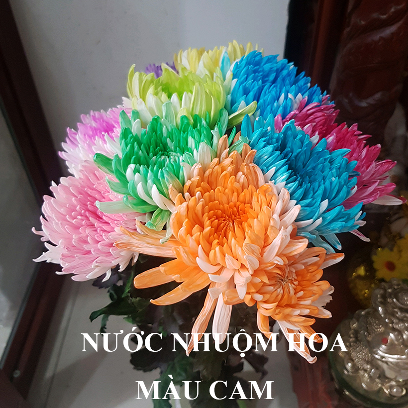Dung Dịch Nhuộm Hoa Cắt Cành Đổi Màu theo Công Nghệ Israel giúp hoa nhuộm đổi màu theo ý muốn – The Color Sodium for Fresh Flowers