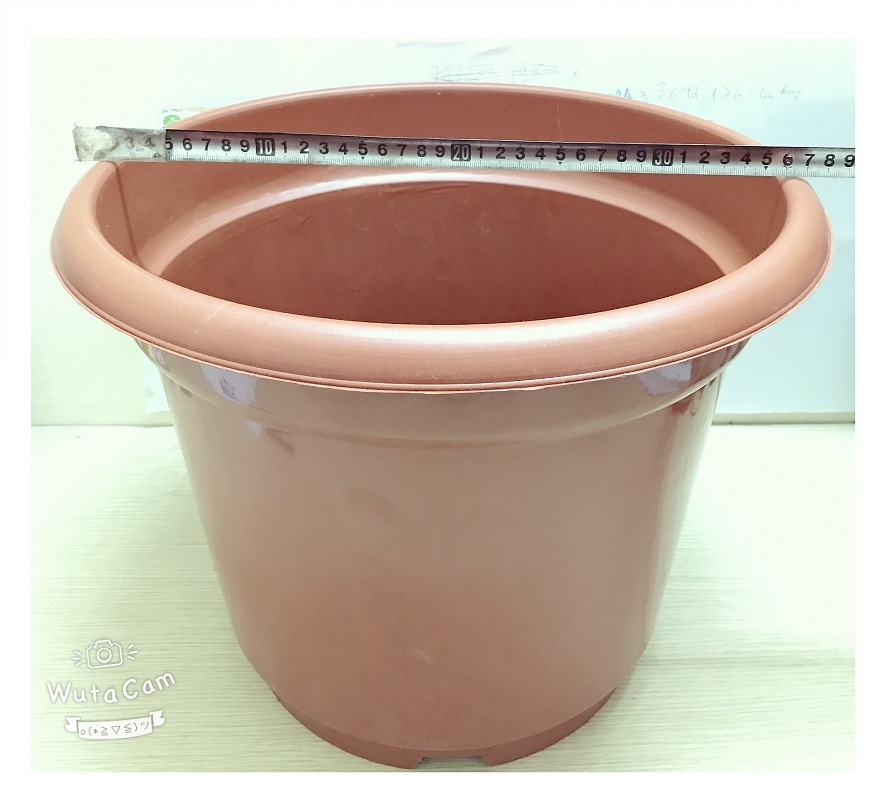 10 Chậu Nhựa Trồng Hoa Cây Cảnh Tròn Đỏ AB450 CN