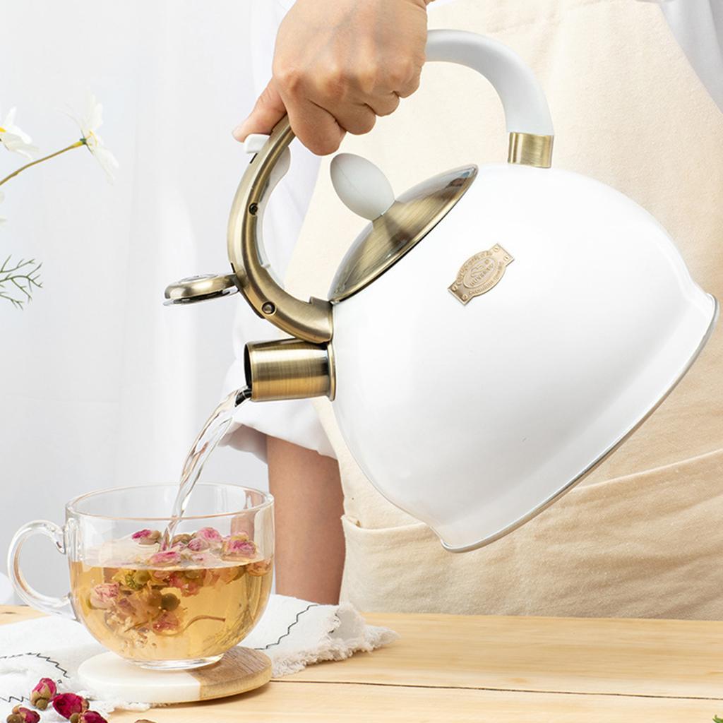 Stainless Steel Kettle Hiking Cookware Teapot White