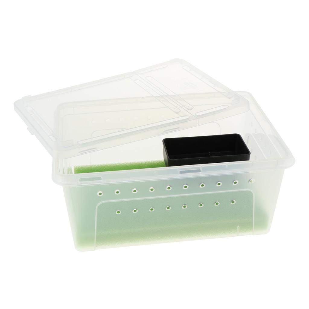 Reptile Amphibian Habitat Terrarium Vivarium Breeding Box