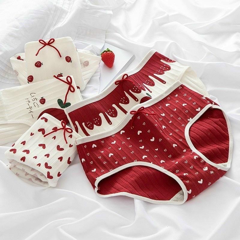 Set 5 quần cotton hoạ tiết cute