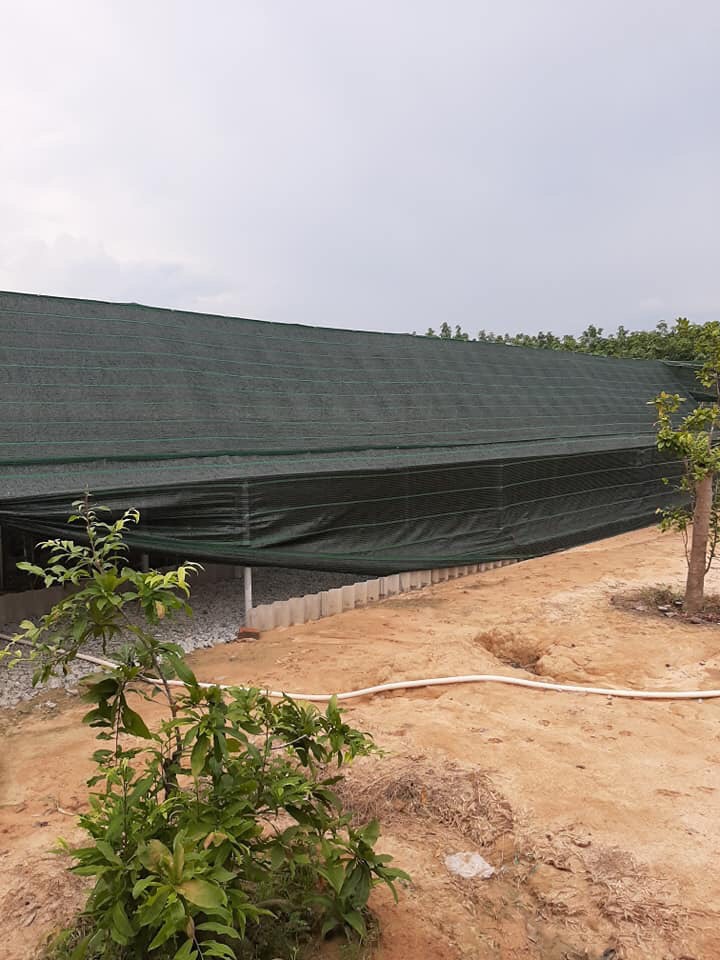 Lưới Che Nắng , Che Rau Lưới Che Vườn Lan 70% , 2m x 20m
