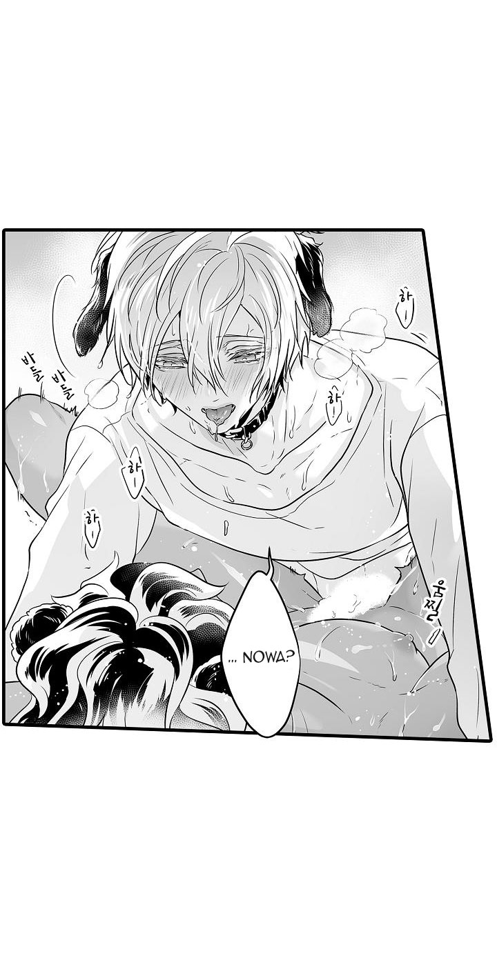 gấu ngủ đông chapter 8.1 11