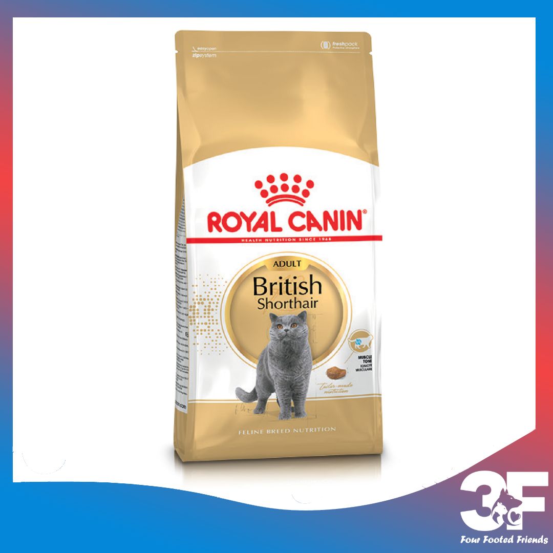 Thức Ăn Hạt Dành Cho Mèo Anh Lông Ngắn Trưởng Thành Royal Canin British Shorthair Adult