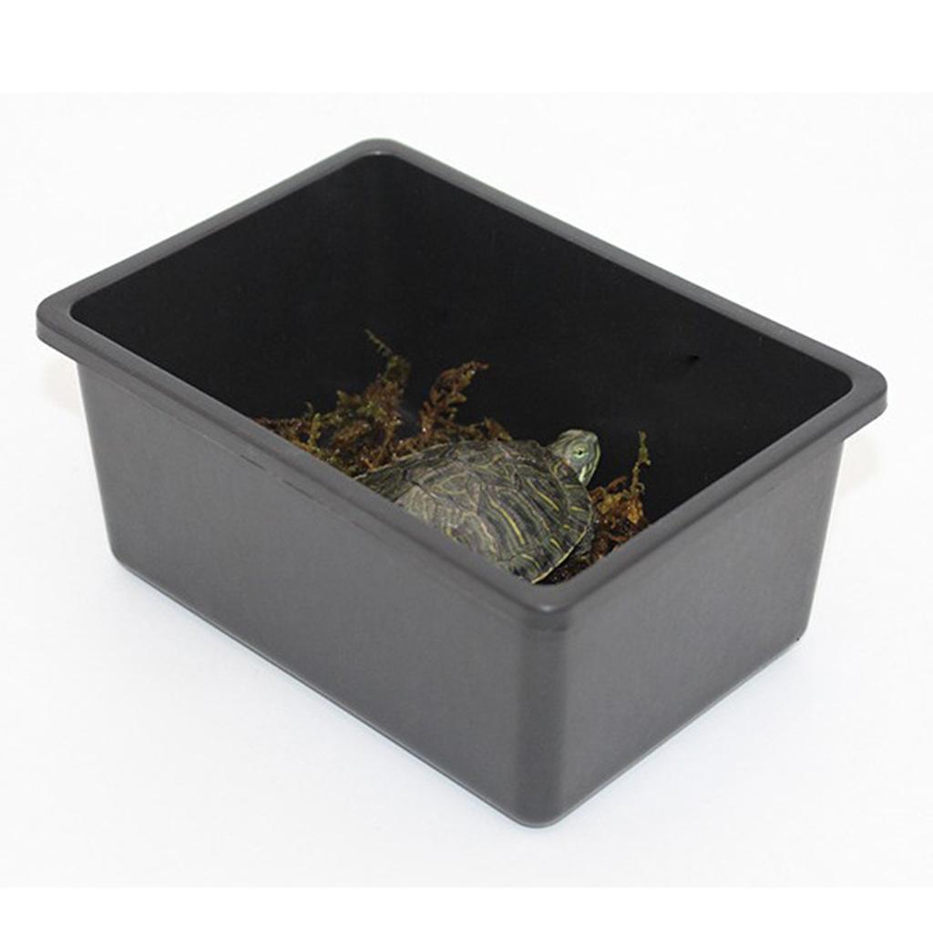 5x Reptile Vivarium Terrarium Breeding Tank Reptile Feeding Rearing Box Cage