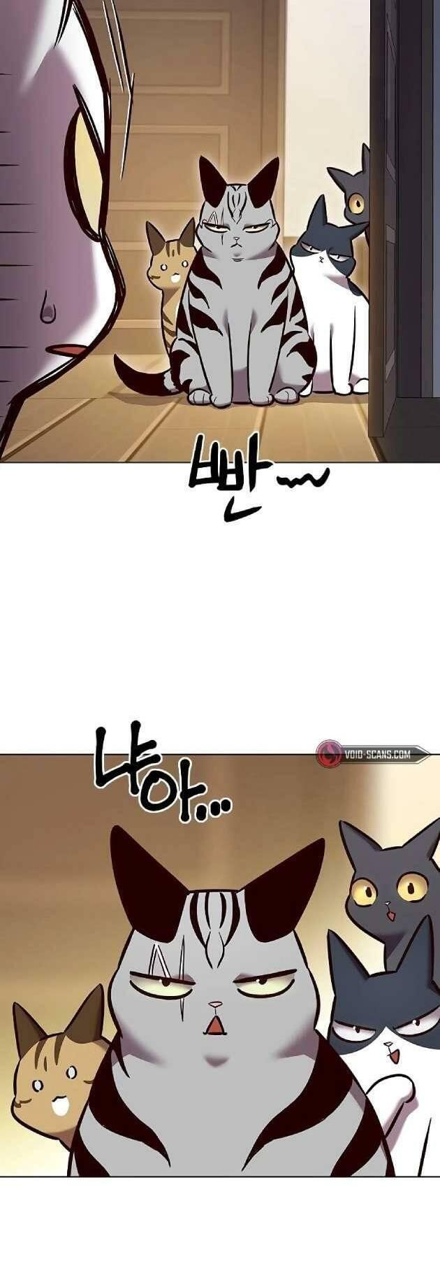 biến thân thành mèo chapter 262 59