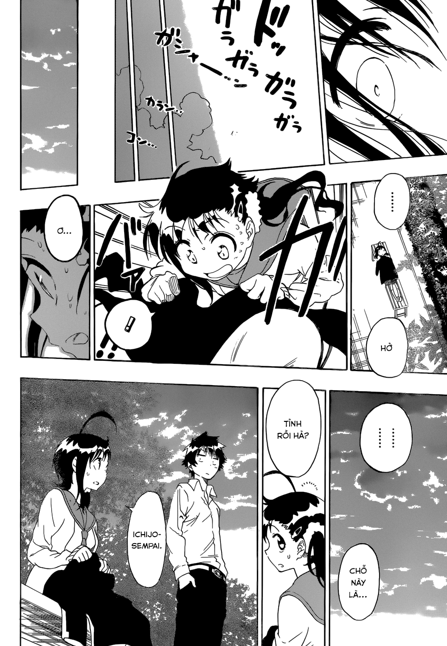 nisekoi - tình yêu giả tạo chapter 78 17