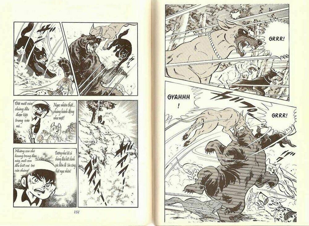 chú chó có nghĩa - ginga nagareboshi gin chapter 9 17