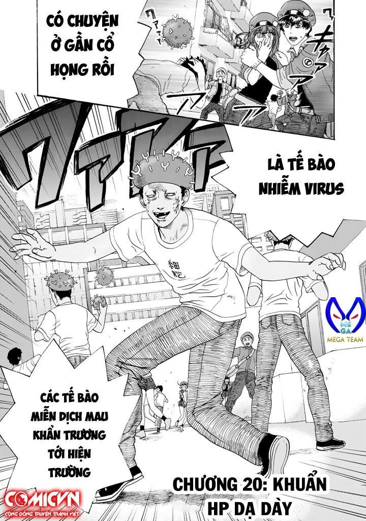 hataraku saibou! chapter 20 5