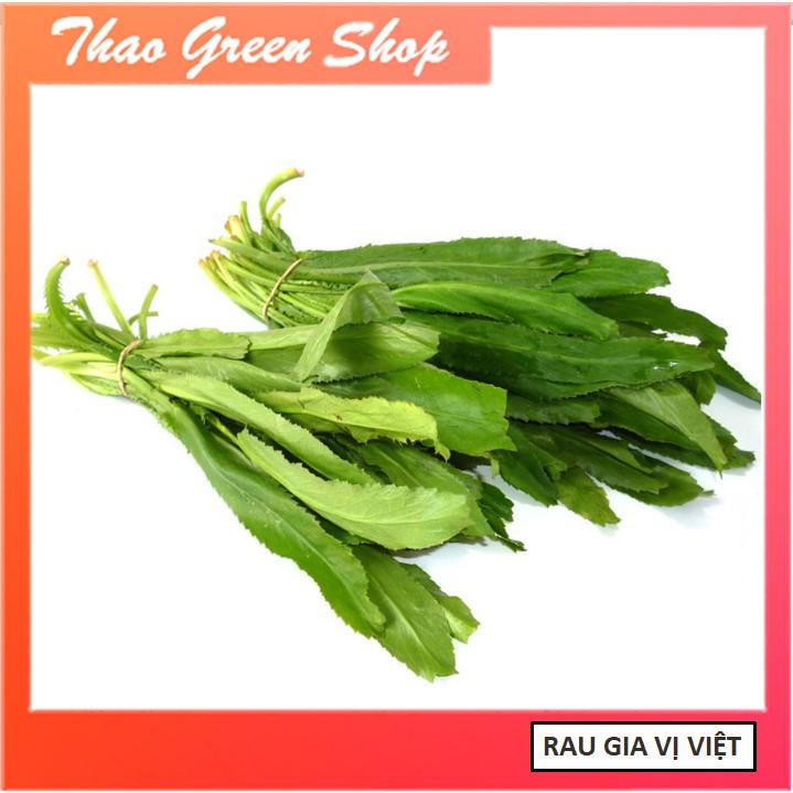 Hạt giống Mùi Tàu cao sản 10gr