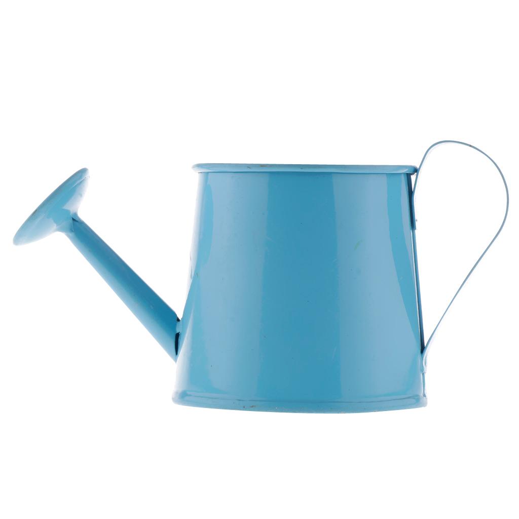 Pastoral Style Colorful Tin Flower Pot Mini Bonsai Watering Can Pot