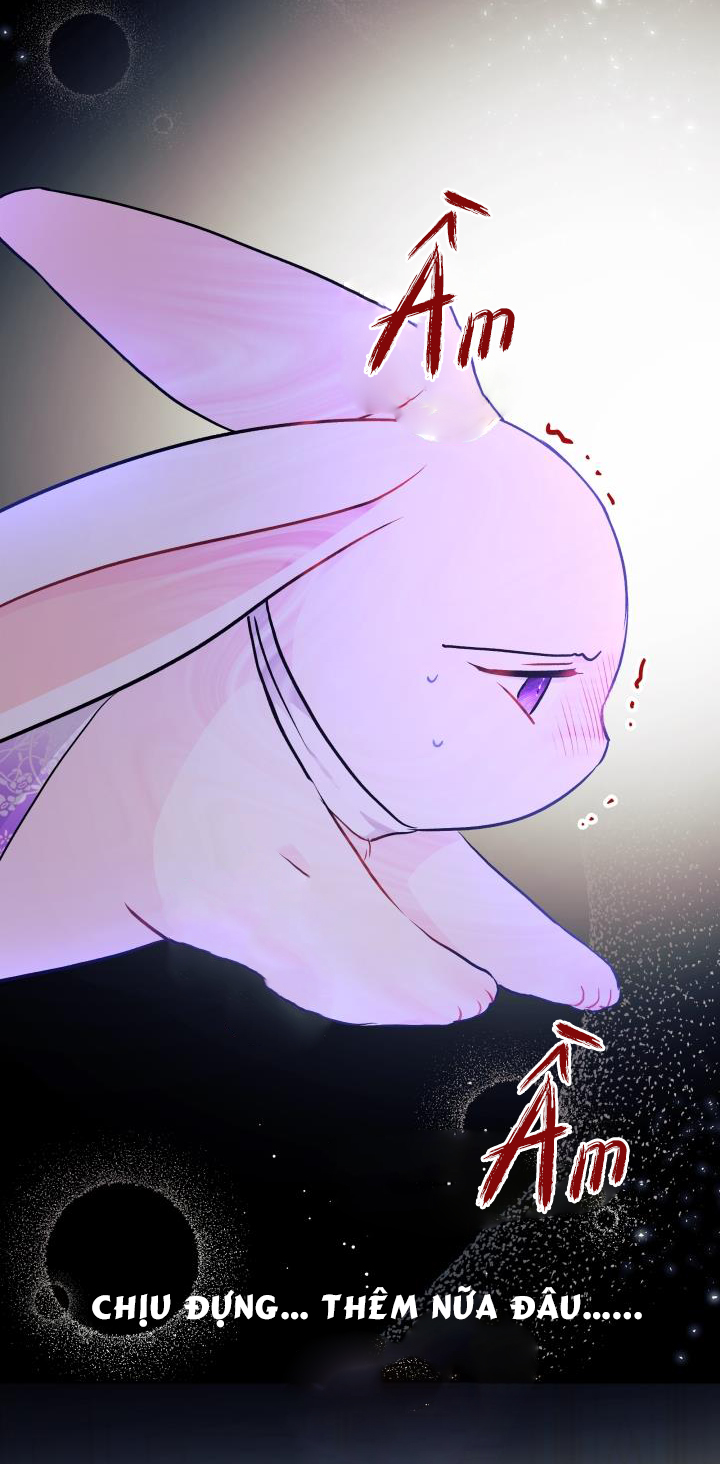 mối liên kết giữa báo đen và bé thỏ chapter 18 66