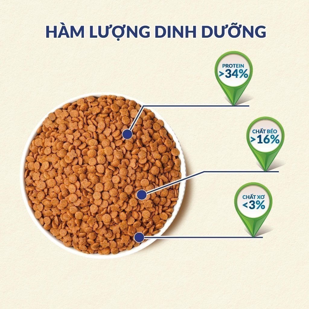 Thức ăn hạt cho mèo con MaxWell - Vị cá 1.6kg