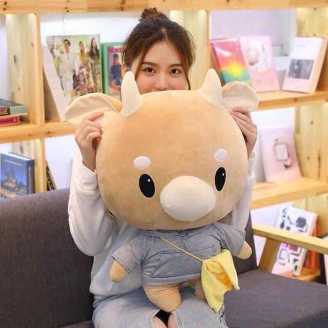 Bò bông chăm chỉ