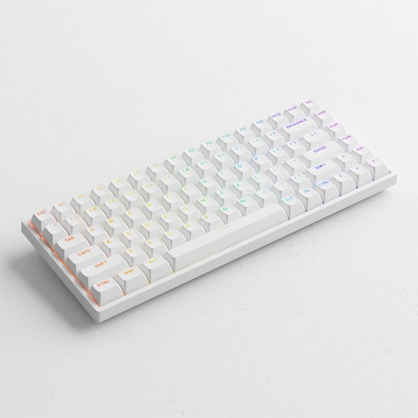Bàn phím cơ AKKO 3084 v2 RGB Black/White _Mới, hàng chính hãng