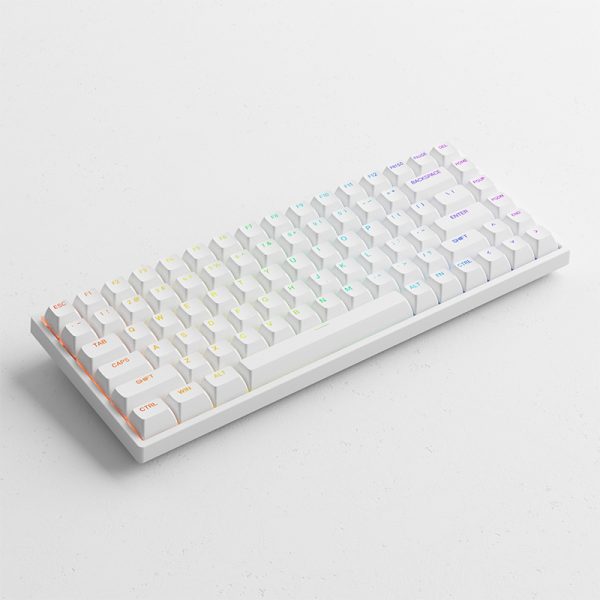 Bàn phím cơ AKKO 3084 v2 RGB Black/White (Foam tiêu âm / Hotswap / AKKO CS Jelly switch)_Mới, hàng chính hãng