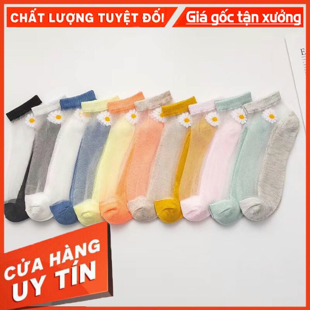 Tất Pha Lưới Thêu Hoa Cúc Siêu Xinh Combo Túi 10 Đôi