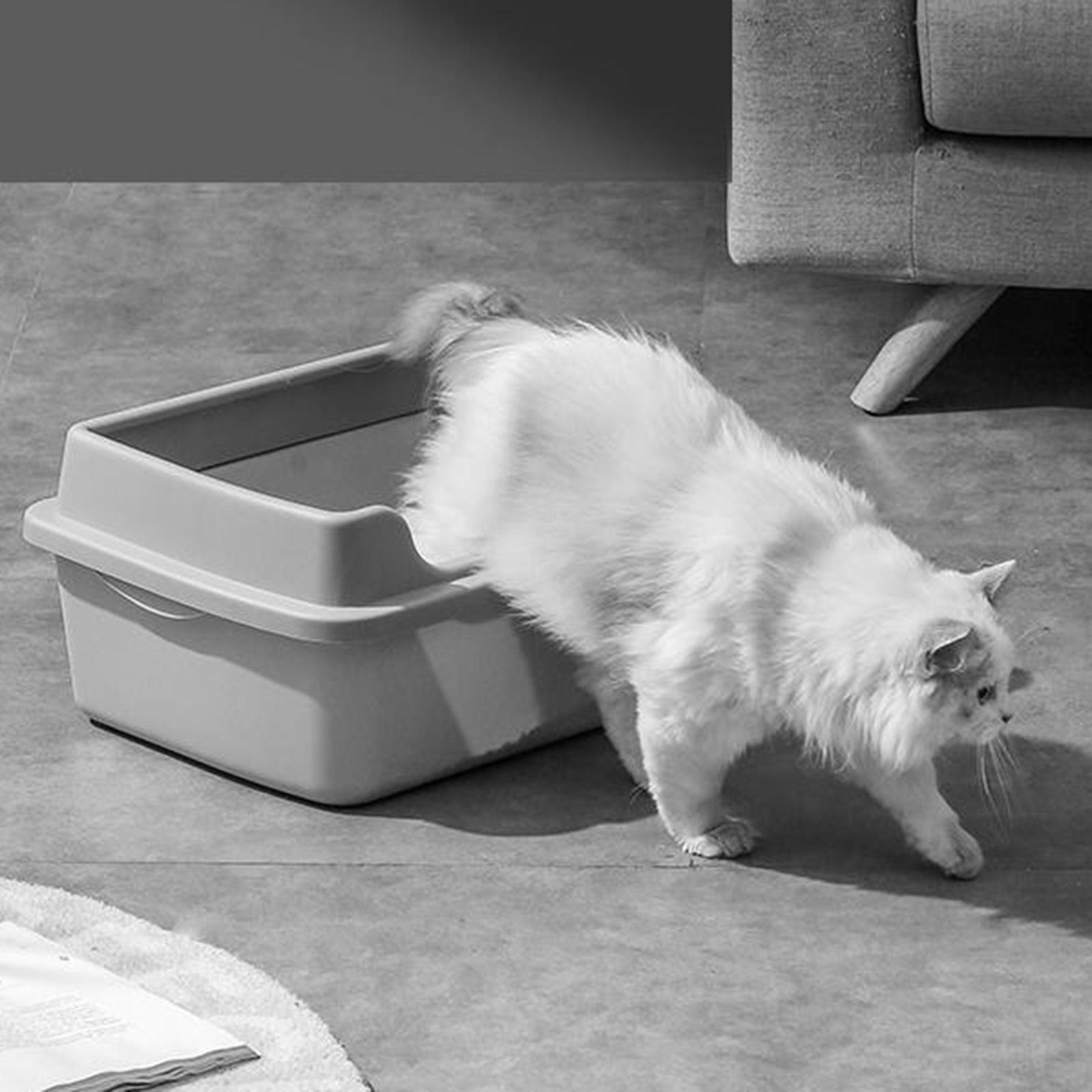 Cat Litter Box for Indoor Cats Cat Litter Tray for Cats Small Animals Rabbit