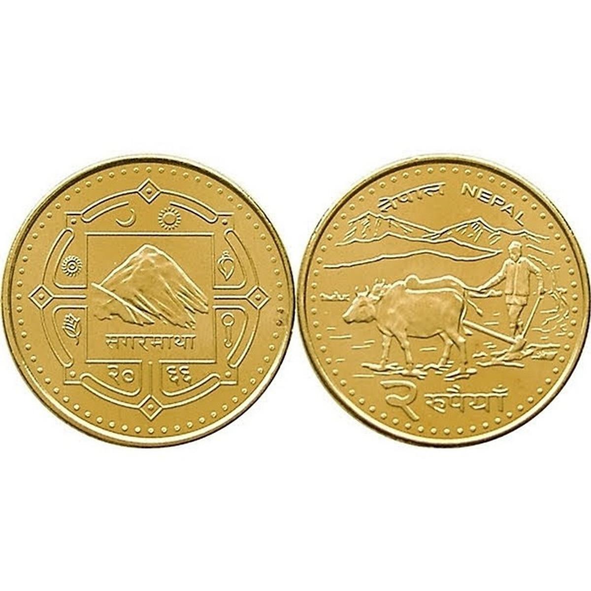 Xu con trâu ở nepal, tặng kèm túi gấm, dùng để xỏ lỗ đeo dây, trưng bày trên bàn sách, đem lại may mắn - ECOINS