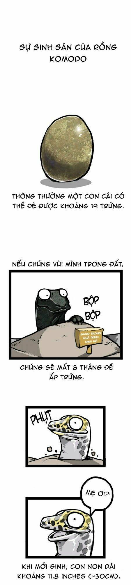 earth, human, and animal chapter 26 16