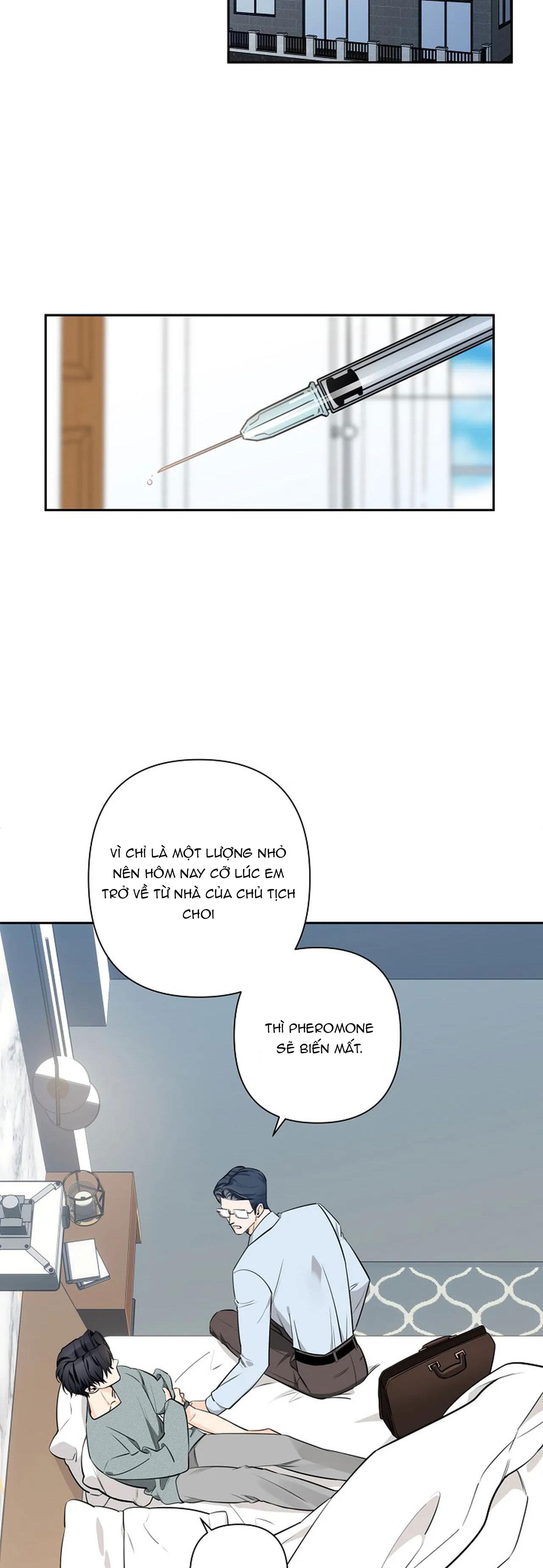 đêm dịu dàng chapter 28 2