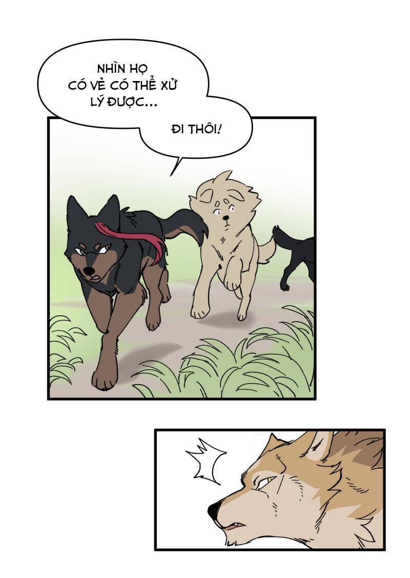 lumine - cội nguồn ánh sáng chapter 151 17