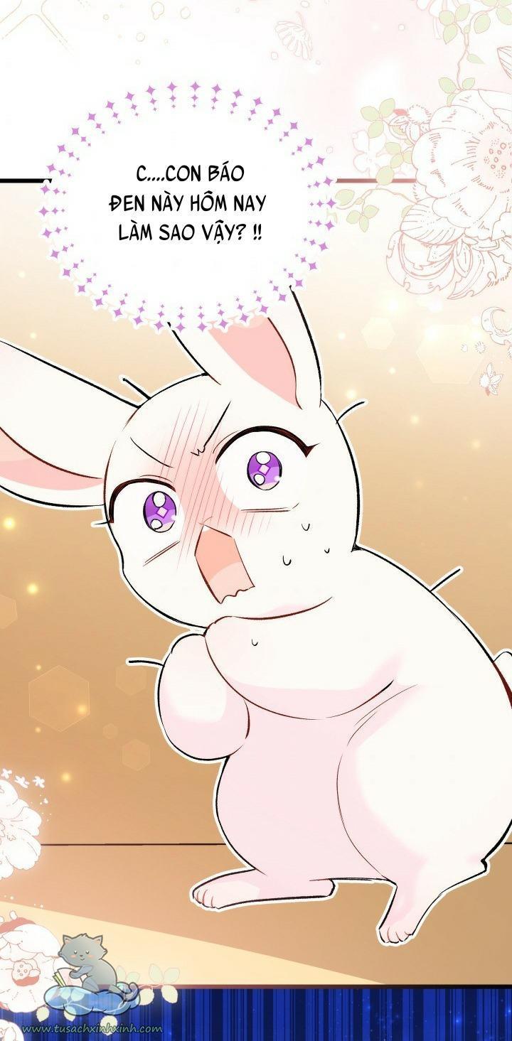 quan hệ cộng sinh giữa báo đen và thỏ trắng chapter 56 81
