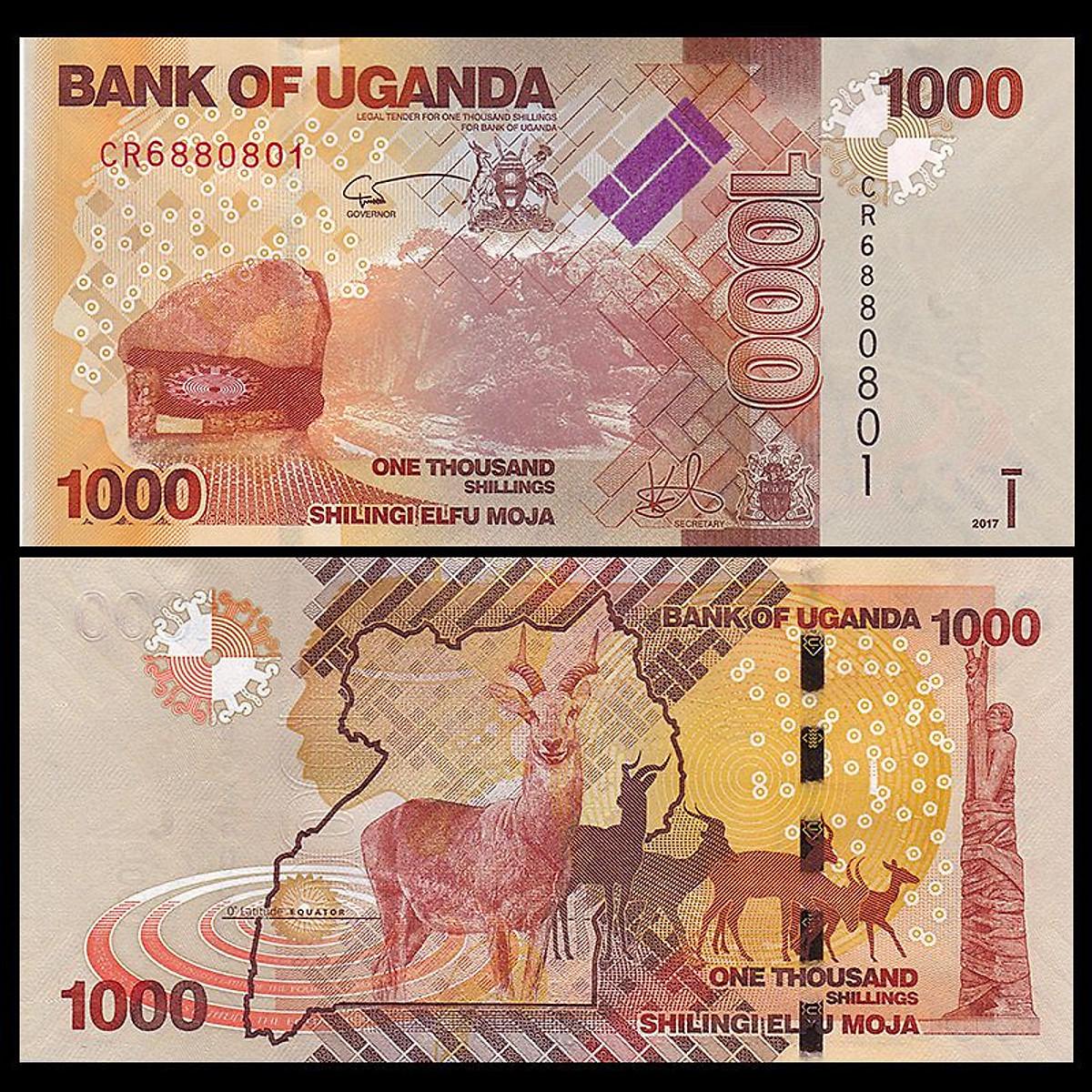 Tiền con Dê 1000 shillings Cộng hòa Uganda, tuổi Mùi sưu tầm [Sưu Tầm Tiền Xưa]