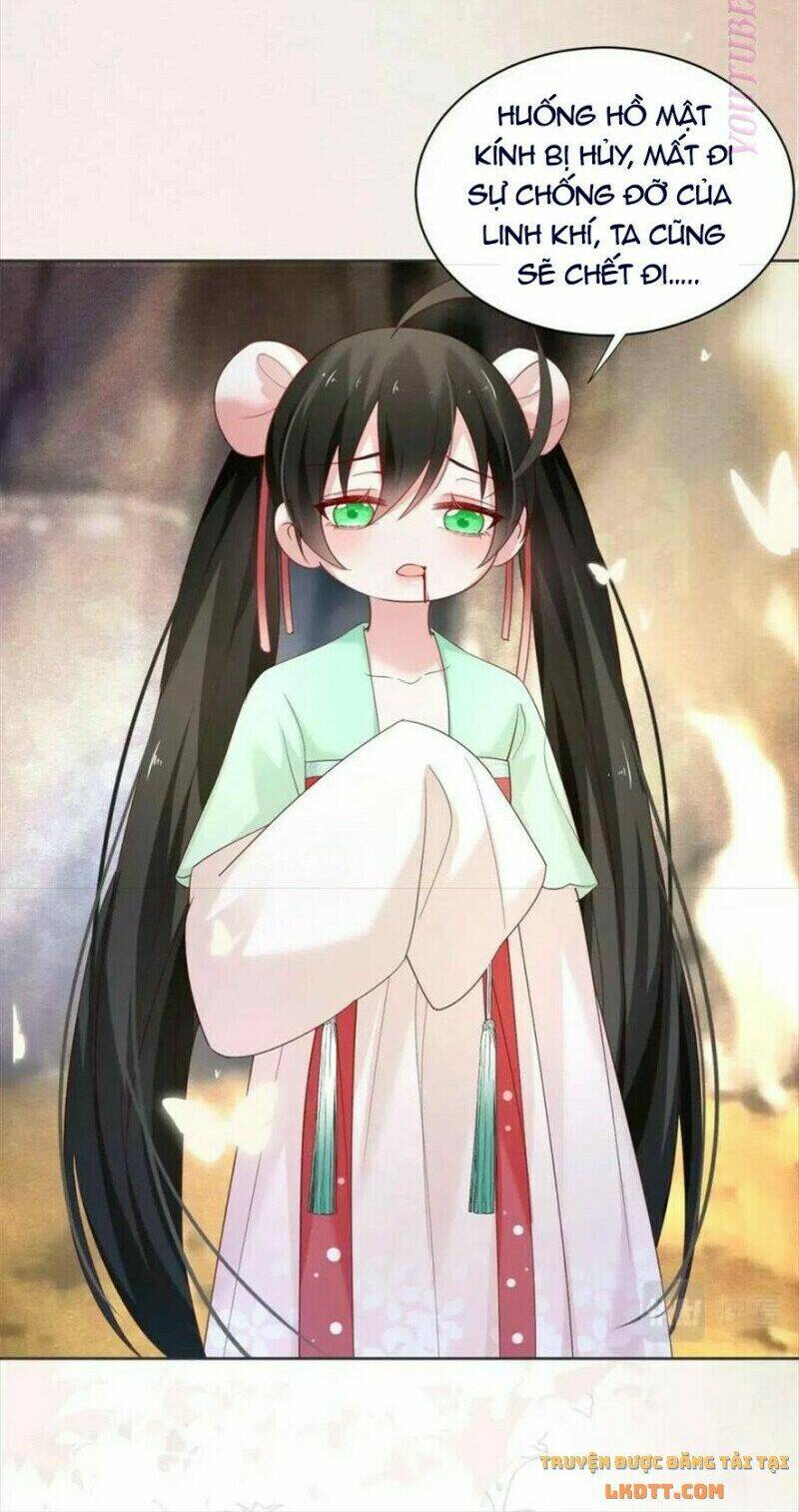 hắc hóa nam chính trực tuyến nuôi thỏ chapter 54 29