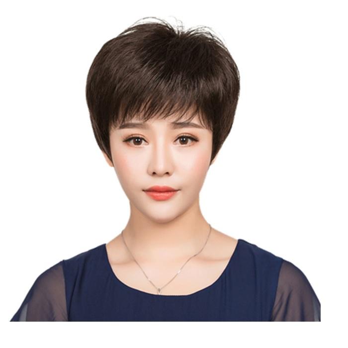 Tóc giả nữ trung niên , Tóc giả nữ nguyên đầu chất liệu tơ mềm mượt tóc thật + tặng kèm lưới ONLINE_SHOPPING_1102