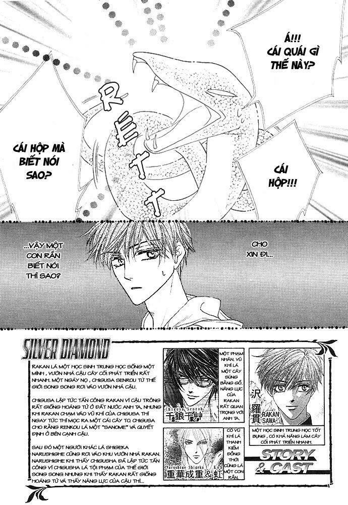 kim cương bạc chapter 3 3