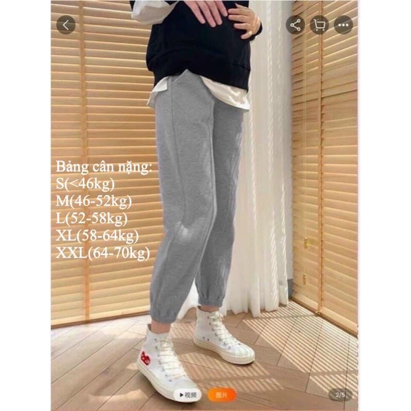 Quần bầu bo gấu chất nỉ da cá cực đẹp