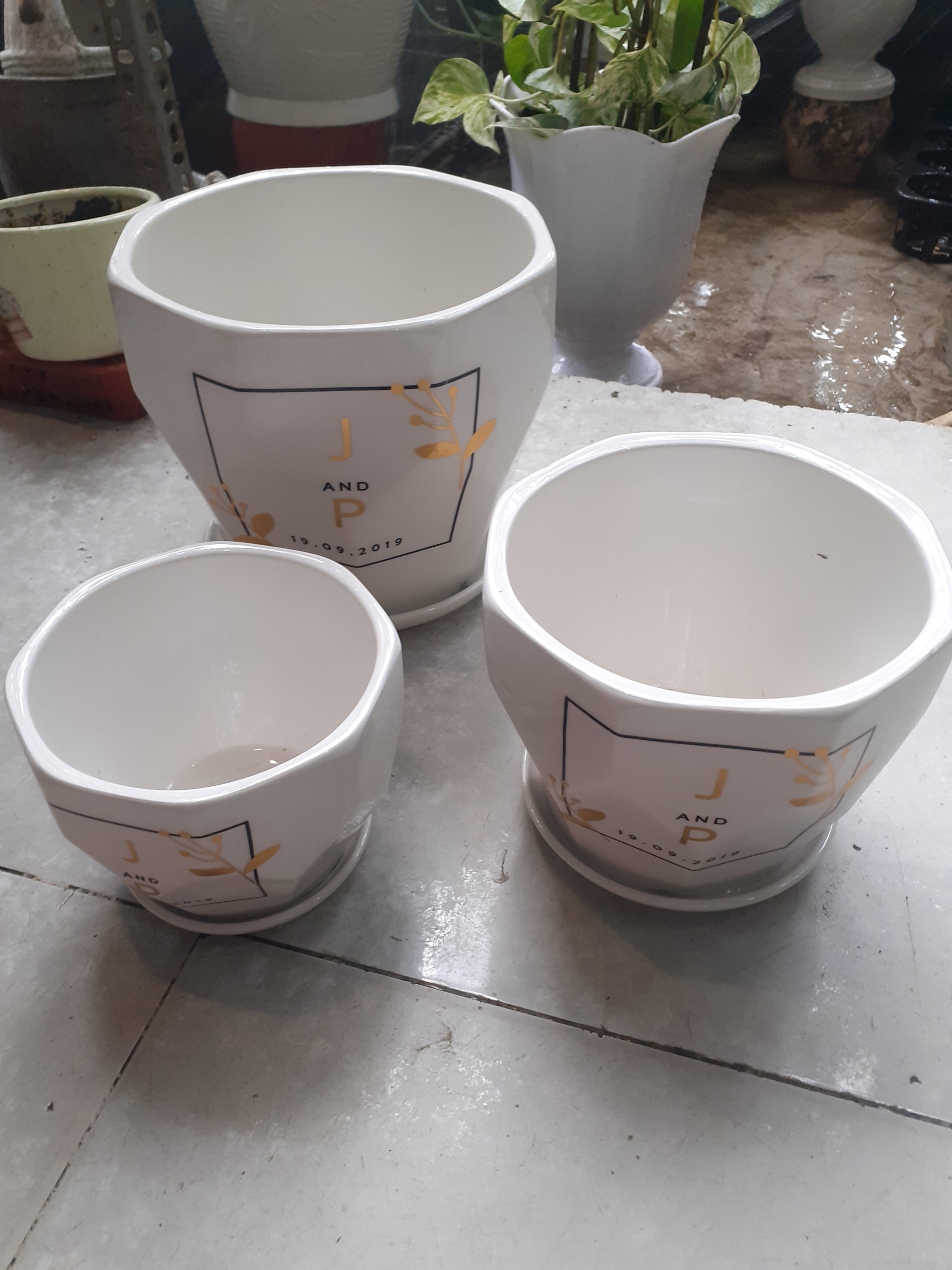 BỘ 3 Chậu kèm dĩa BÁT GIÁC J&P . 1 CHẬU SIZE TRUNG .