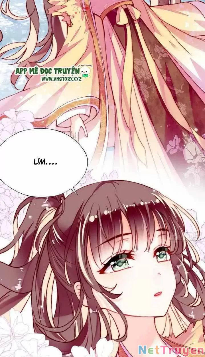 lại bị bệnh chiều chuộng quấn lấy chapter 14 32