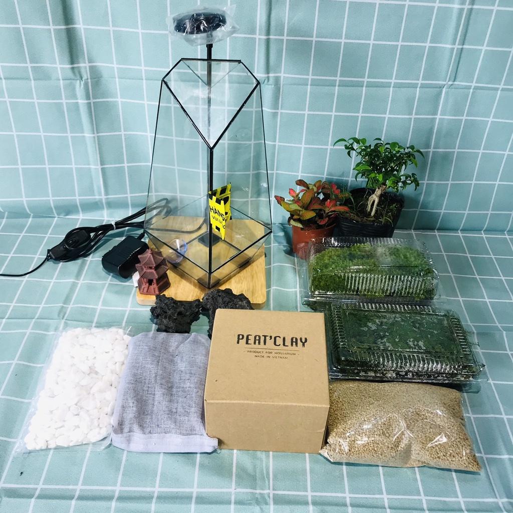 COMBO TỰ SET TERRARIUM-VƯỜN NHIỆT ĐỚI