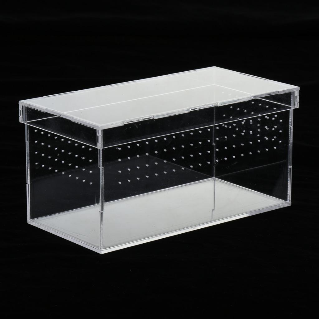 Transparent Acrylic Reptile Box Terrarium Pet Insect Breeding Box