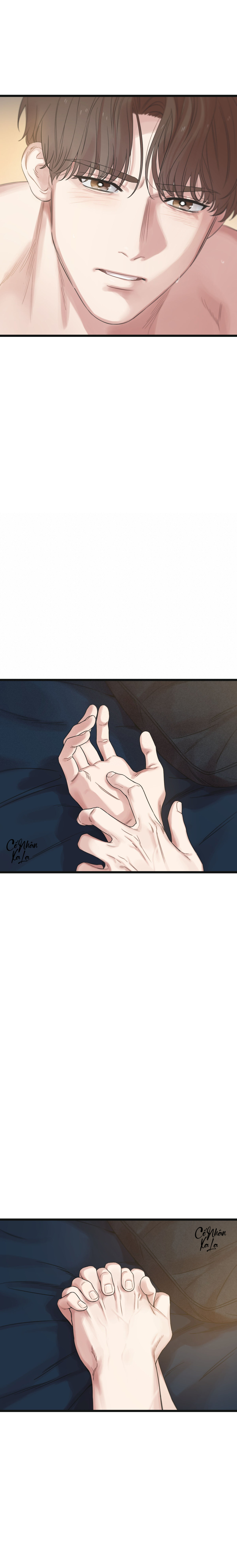 trùng phùng chapter 52 29