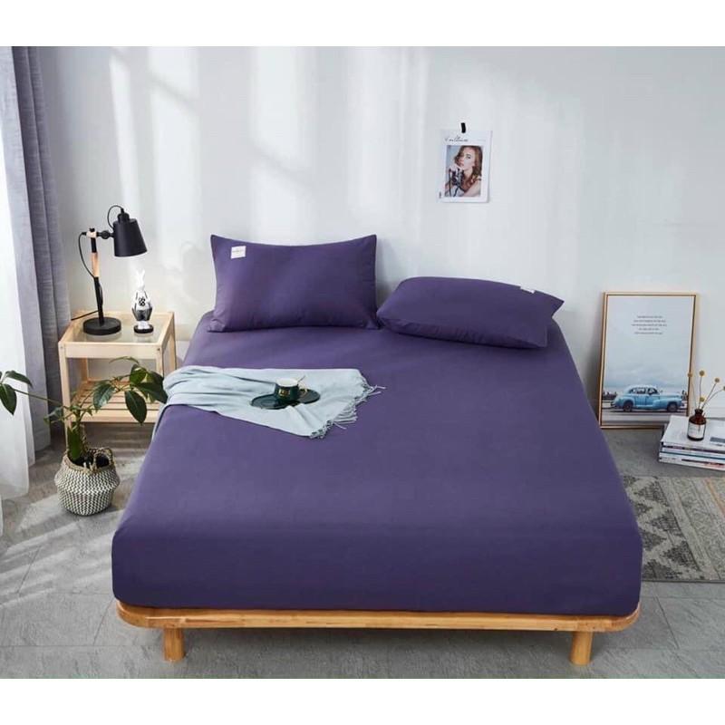 SET CHĂN GA TICI CAO CẤP 4 MÓN KHÔNG CHĂN - MÀU TÍM