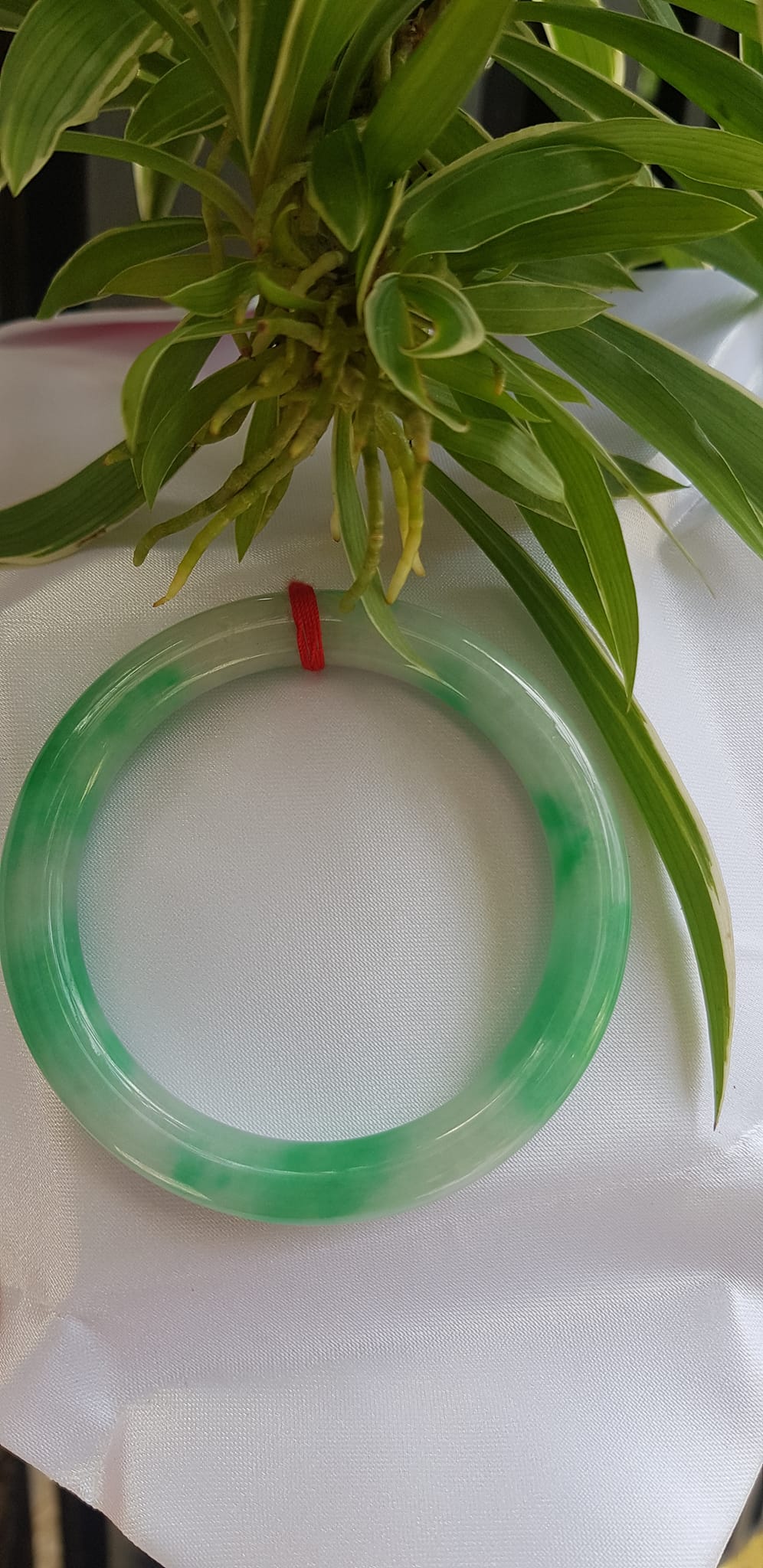 Vòng tay nữ đá Cẩm Thạch tự nhiên mới TR LÝ IC 54mm x chột to 9mm vòng màu trắng xanh lý đẹp nữ 52kg - 56kg đeo ạ