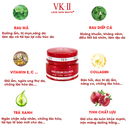 Kem Ngừa Mụn Thâm Sẹo VK II ( 10g/20g )