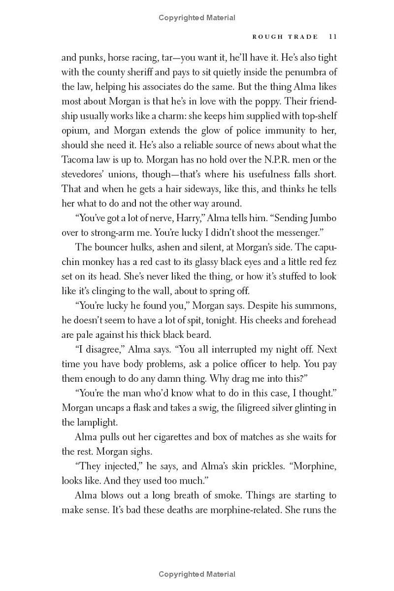 Sách ngoại văn: Rough Trade - A Novel