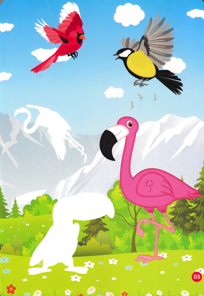 Sticker Dán Hình Thông Minh - Thế Giới Loài Chim _VT