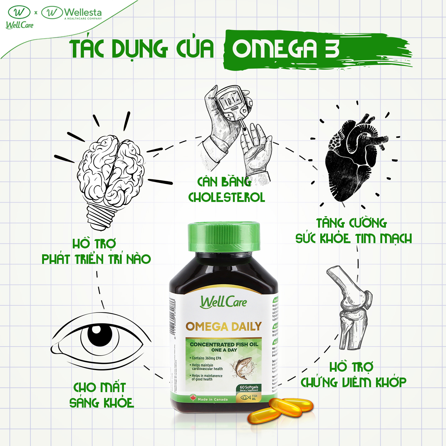 Viên nang mềm OMEGA Daily Wellcare chứa dầu cá với hàm lượng DHA/ EPA cao hỗ trợ cho sự phát triền trí não, hệ thống tim mạch khỏe mạnh