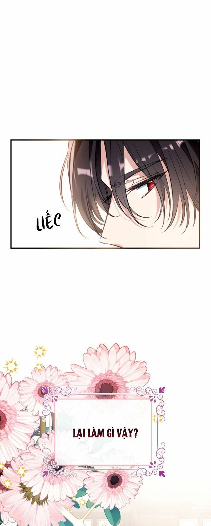 chúng ta có thể trở thành gia đình được không? chapter 46 35