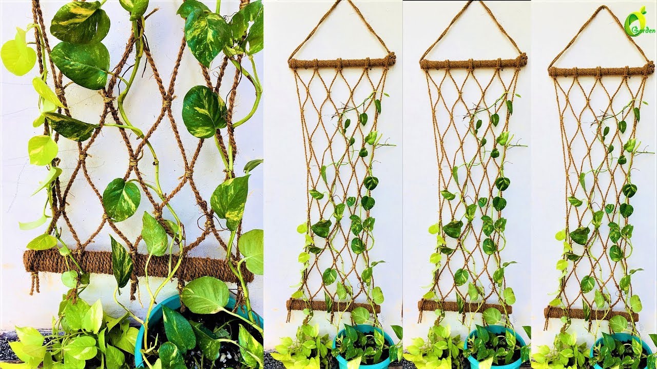 DÂY THỪNG CHO GIÀN CÂY LEO/BÒ ĐK 10MM
