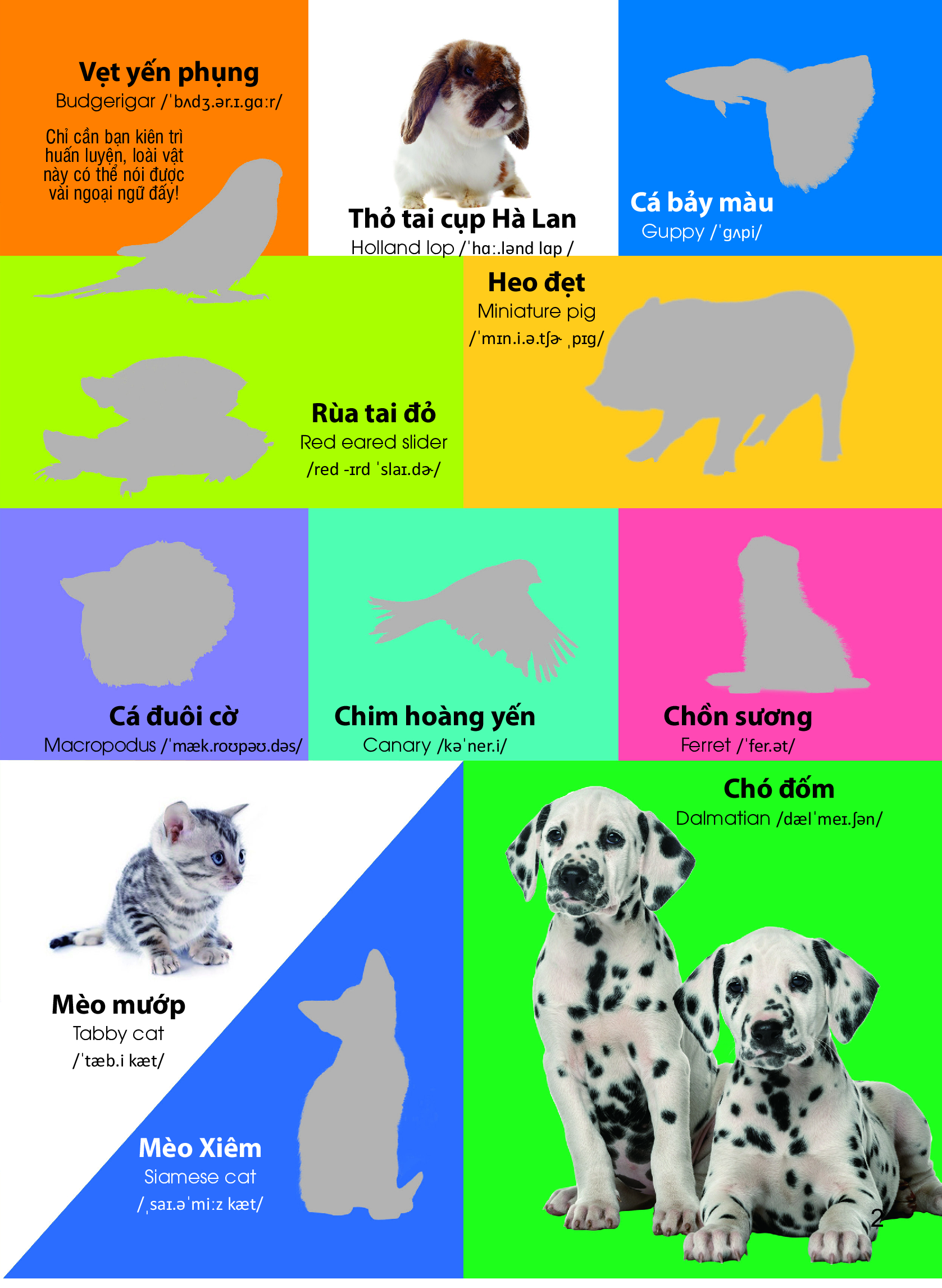 Dán Hình Nhận Biết Động Vật - Những Loài Vật Dễ Thương