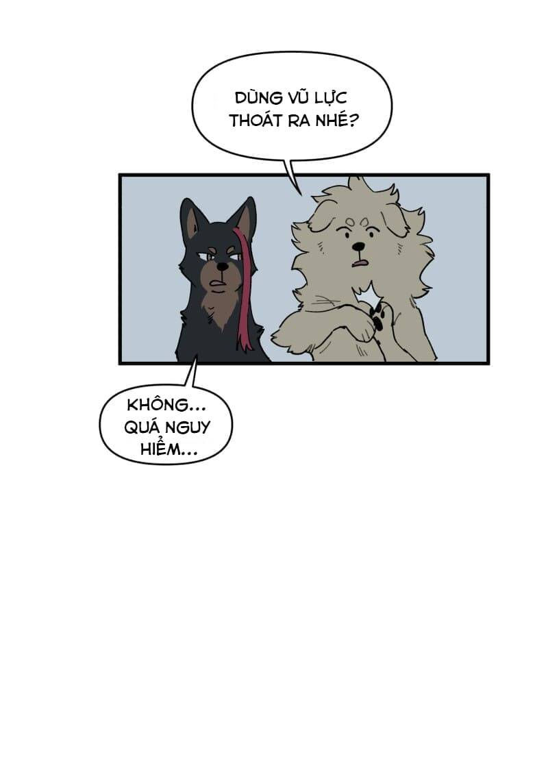 lumine - cội nguồn ánh sáng chapter 145 32