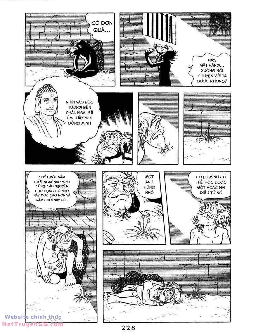 buddha - truyền thuyết đức phật chapter 66 18